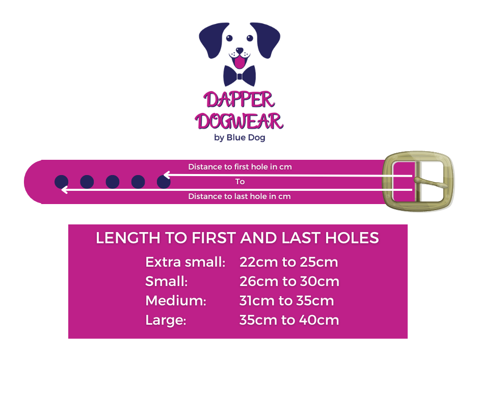 Hand-made BioThane Collar in Purple